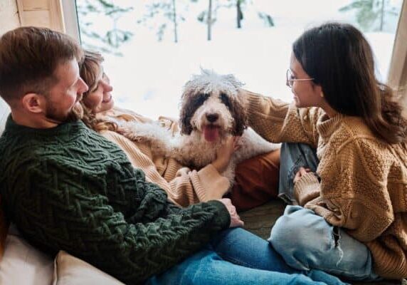 Cozy indoor scene with dog.