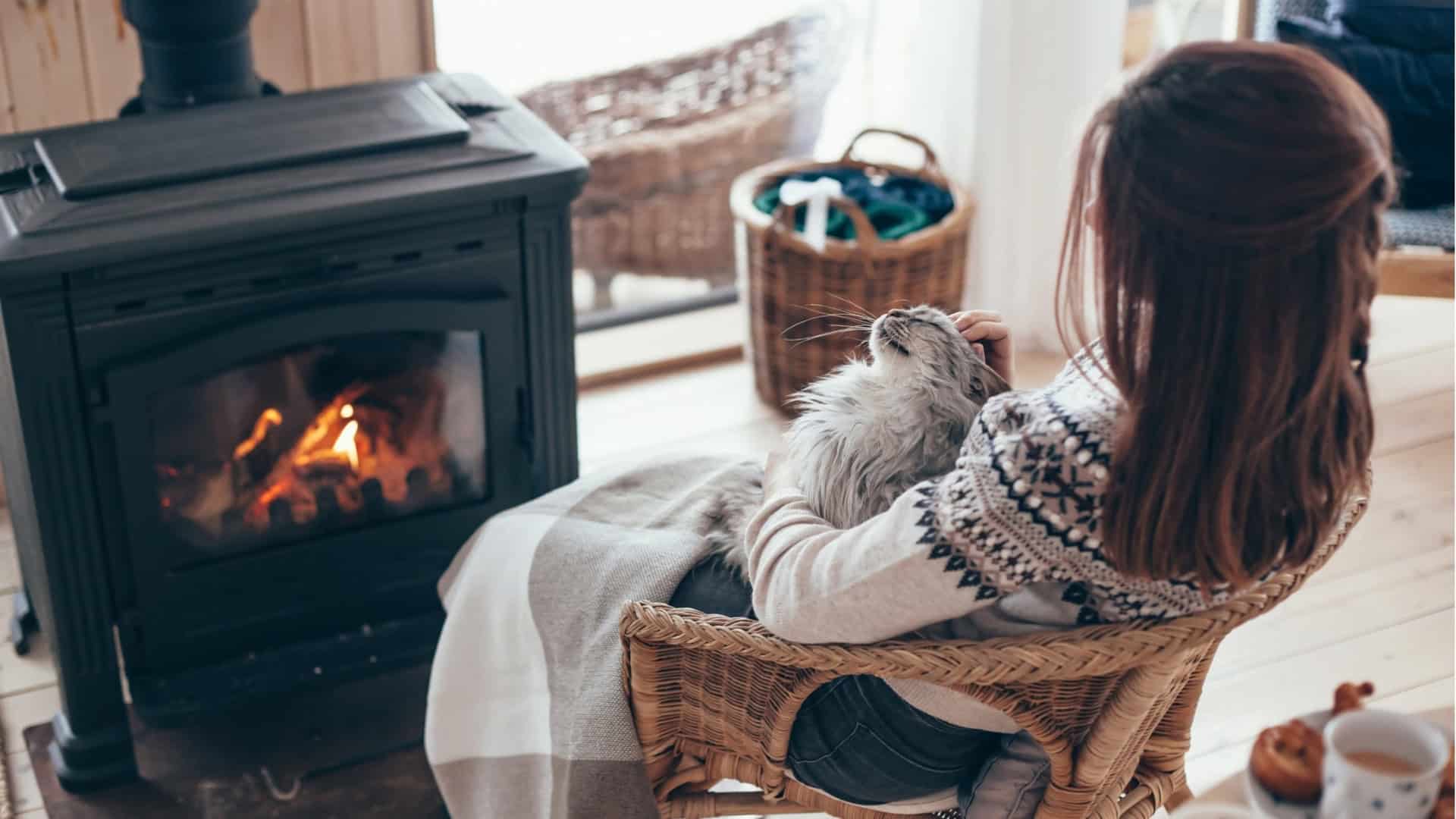 Woman relaxing by fireplace with dog in cozy living room.